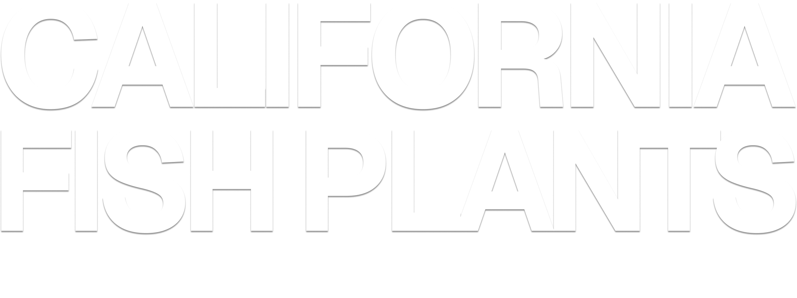 California Fish Plants Free Daily Fish Plant Alerts California Fish Plants Free Daily Fish Plant Alerts