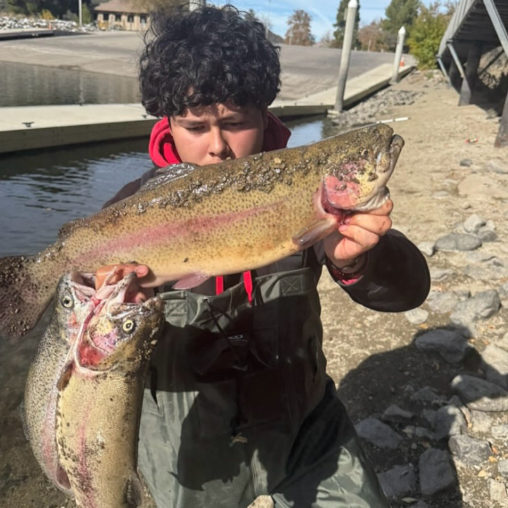 3 trout all caught in a single session at Pyramid Lake using Dancin Fish Baits spoons