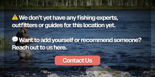 Recommended fishing experts, outfitters & guides