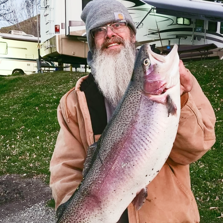 3 trout all caught in a single session at Pyramid Lake using Dancin Fish Baits spoons