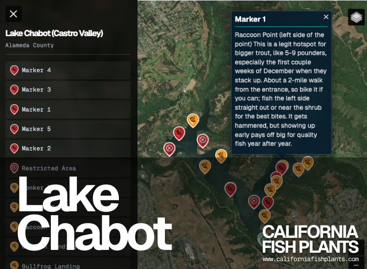 Lake Chabot (Castro Valley)