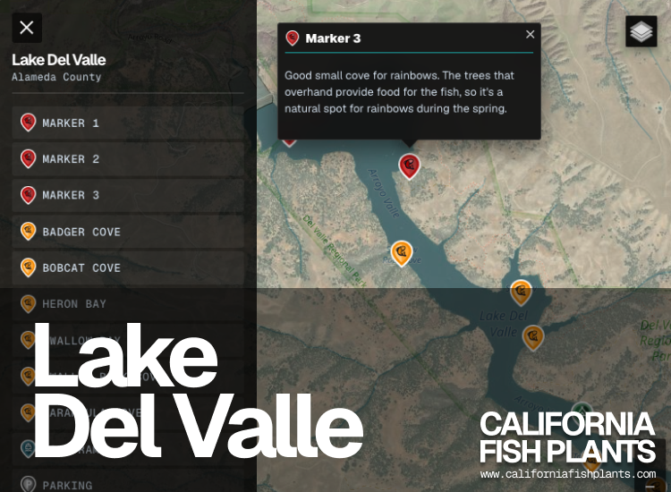 Lake Del Valle