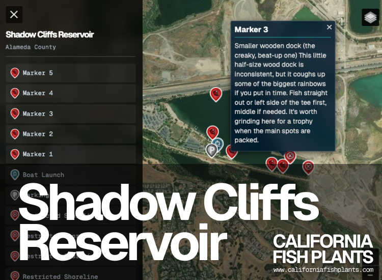 Shadow Cliffs Reservoir