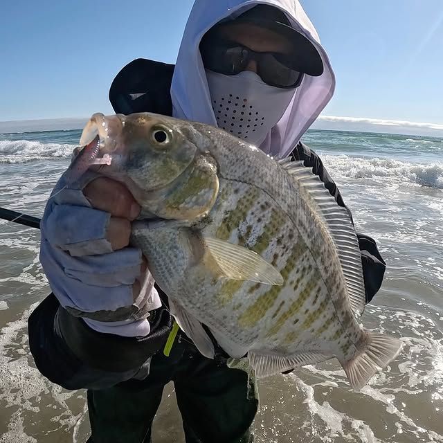 Fish photo