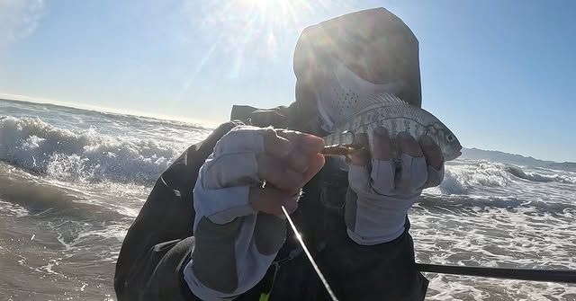 Fish photo