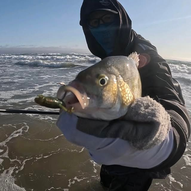 Fish photo