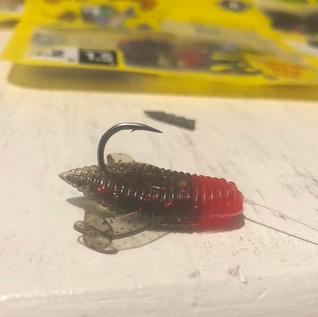 Fish photo
