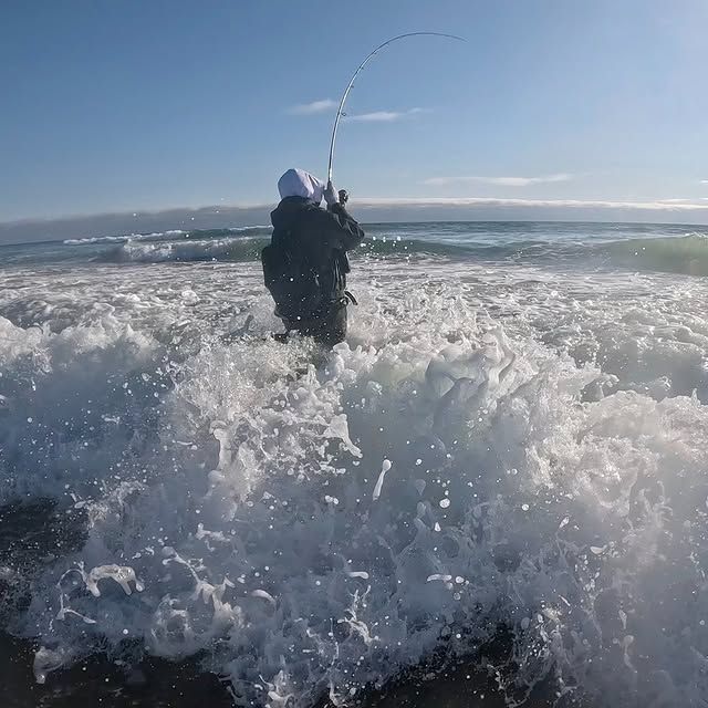 Fish photo