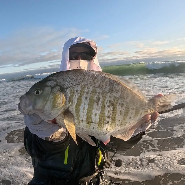 Fish photo