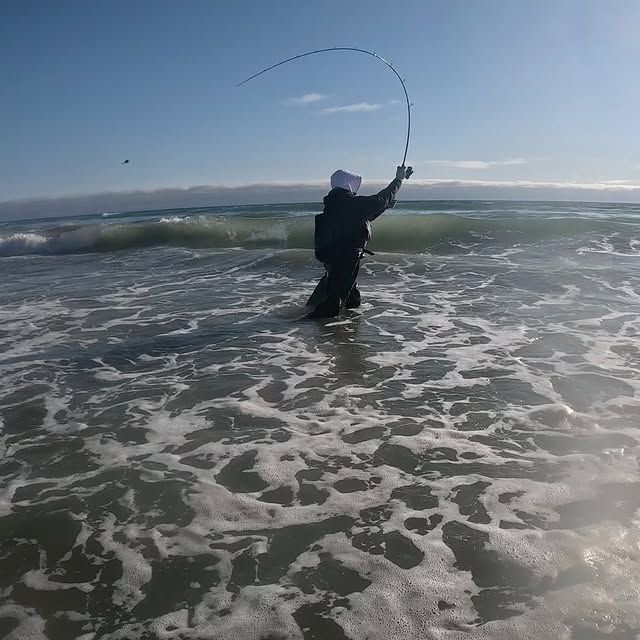 Fish photo