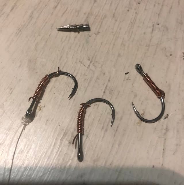 Fish photo