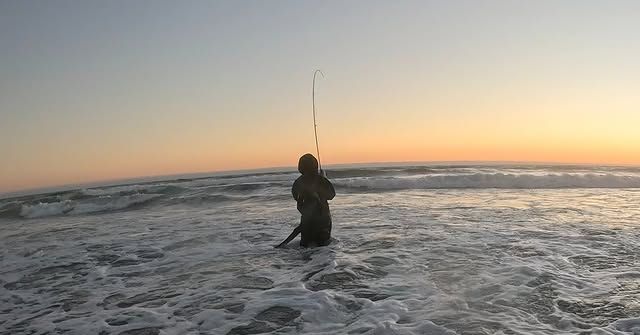 Fish photo