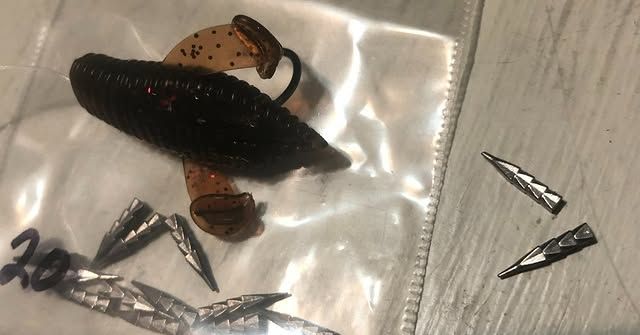 Fish photo