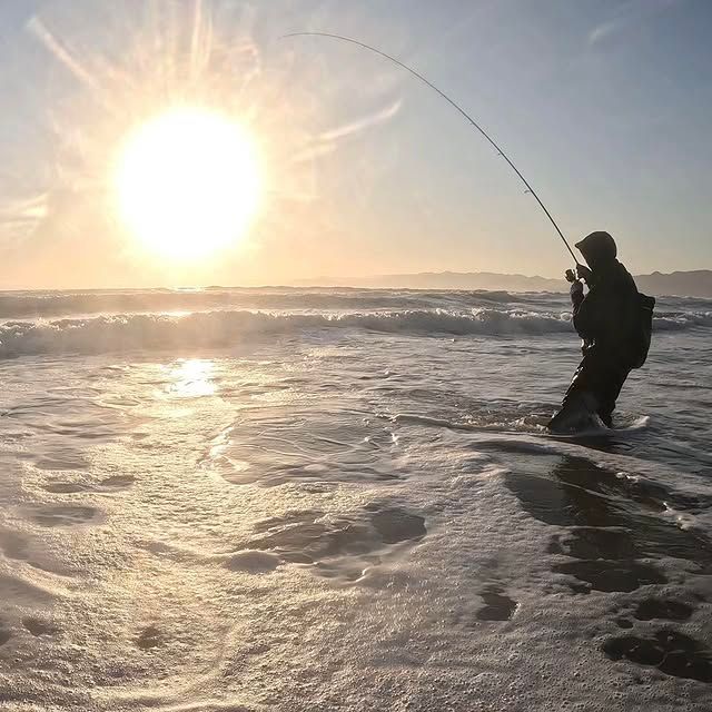 Fish photo