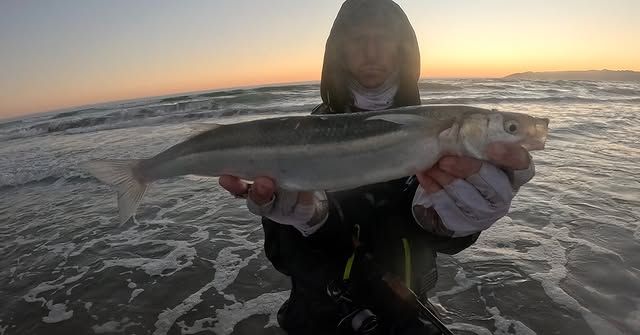 Fish photo